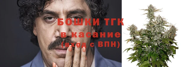 тгк Богданович